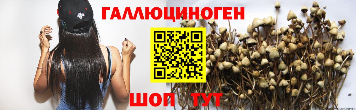 Галлюциногенные грибы Cubensis Краснодар