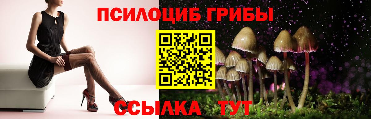 Краснодар  Псилоцибиновые грибы Magic Shrooms  Вход с VPN 