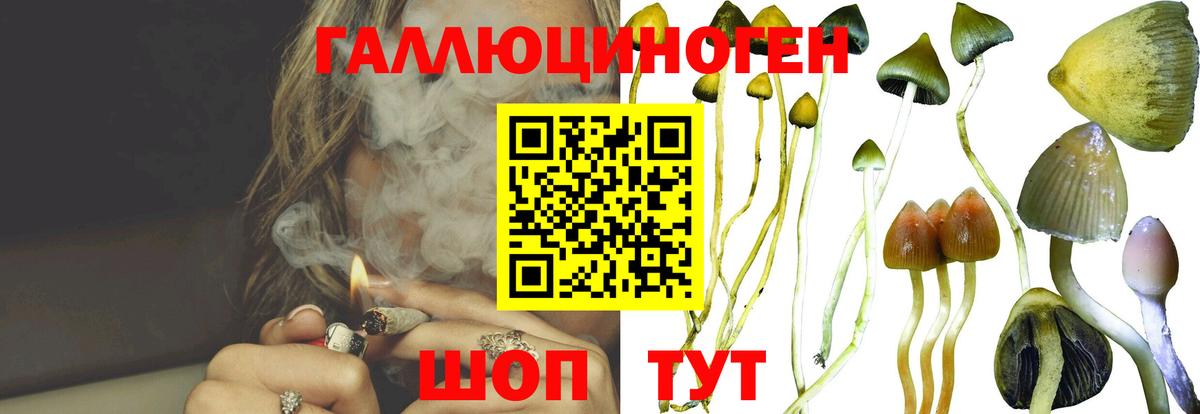 Гашиш Краснодар